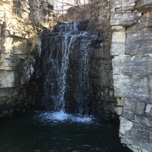 Meet your Posher, George